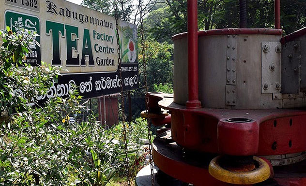 A visit to the Kadugannawa tea factory - Experience - Sri Lanka In Style